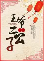 王家的二公子