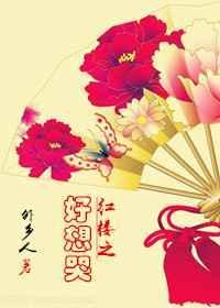 红楼之好想哭 外乡人无防盗