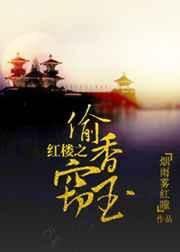 红楼之偷香窃玉txt
