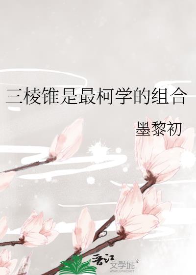 三棱锥还可以叫做什么