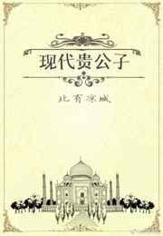 现在贵公子