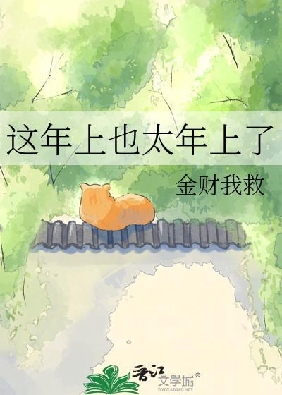 这年 又过完了