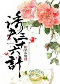 撩夫三十六计完整篇
