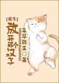 放开那个汉子年华转生