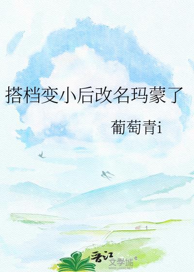 搭档1