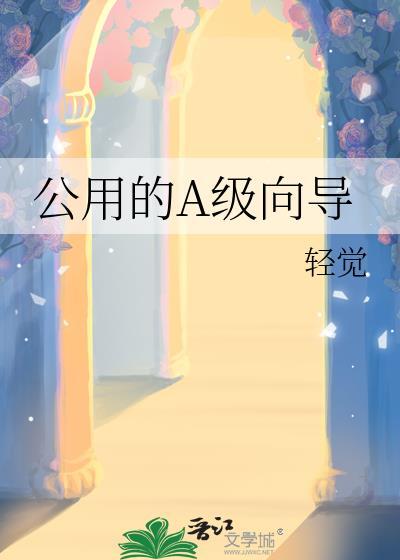 公用的A级向导笔趣阁