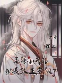 小夫郎他柔弱无依