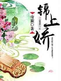 锦上娇娇全文免费阅读正版