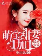 暖婚蜜爱盛宠小甜妻