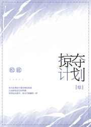 掠夺计划豆瓣