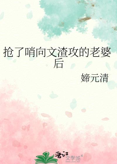 抢了哨向文里渣攻的老婆后