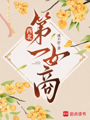 陕西女商人