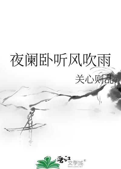 夜阑卧听风吹雨txt