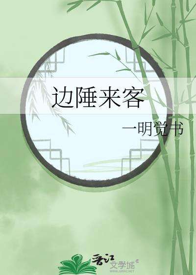 边陲来客txt