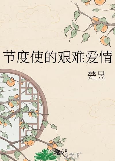 节度使的艰难爱情全文免费阅读