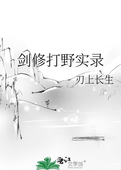 剑修与剑修的对战