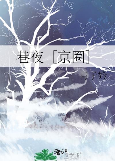 巷夜宋菁冷晋江