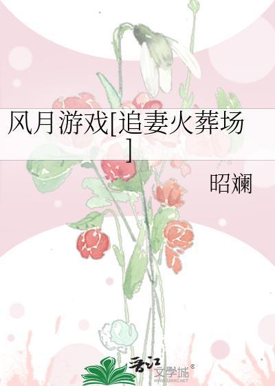 风月游戏百度资源