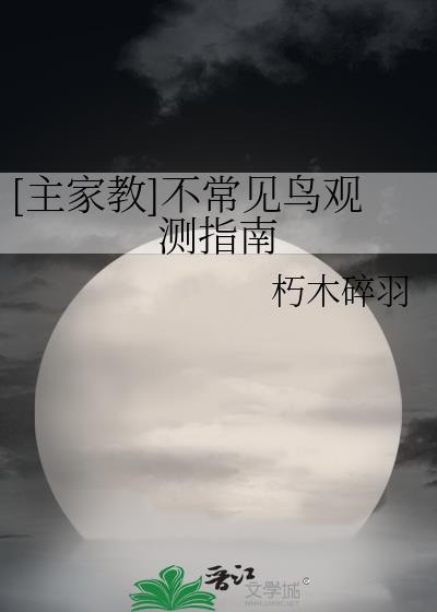 不常见的鸟