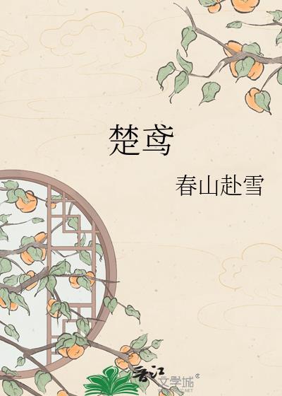 楚鸢沧澜