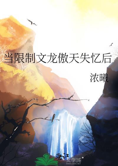 当限制文龙傲天失忆后叶瞑