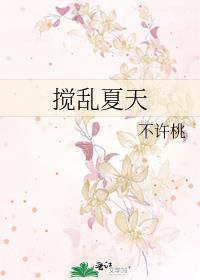搅乱的意思是什么