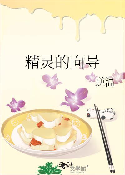 精灵的向导TXT