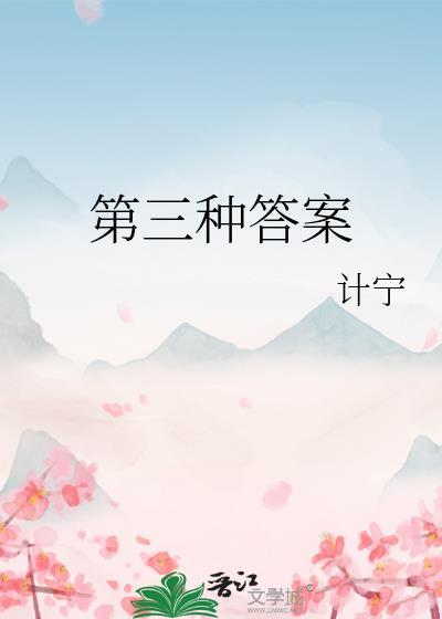 第三种答案 计宁