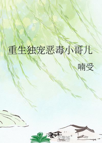 重生独宠恶毒小哥儿全文阅读