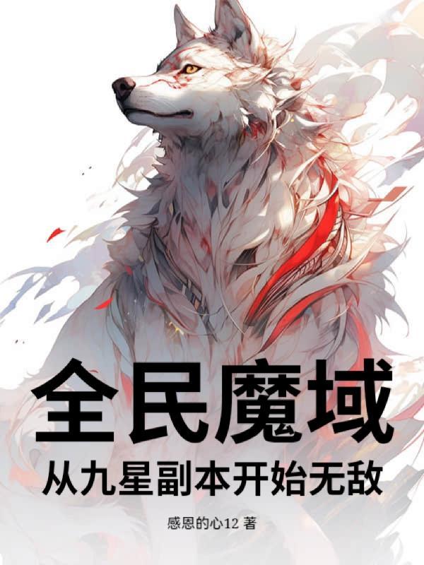 魔域九星副本视频