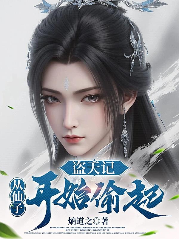 偷天盗贼免费阅读全文