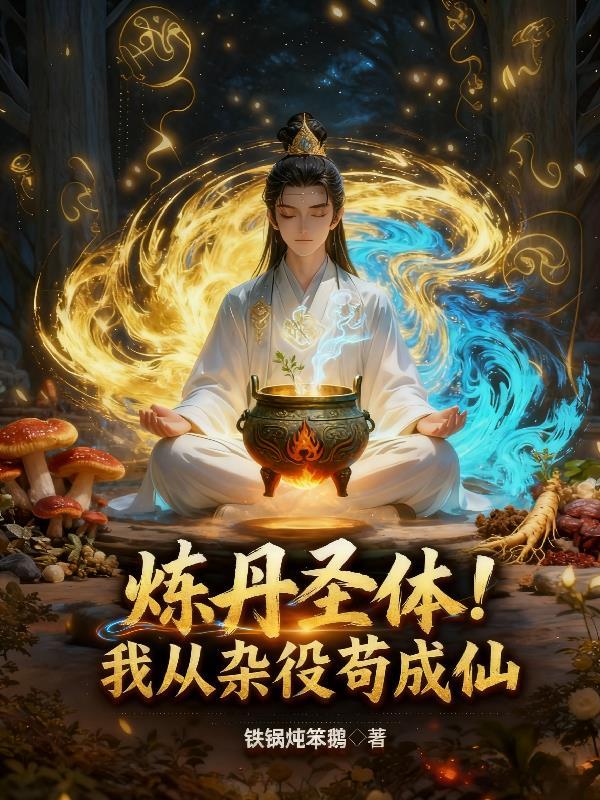 从炼丹开始