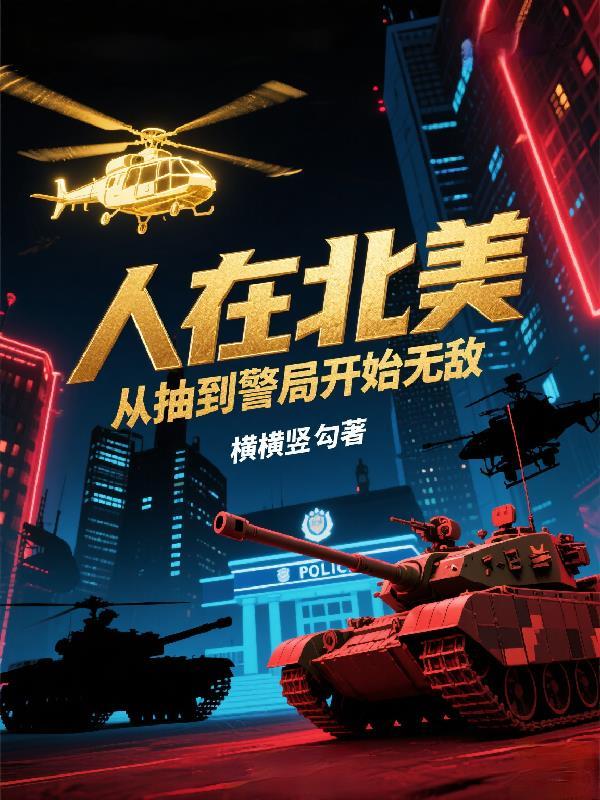 人在北美从律师起步无防盗