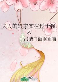夫人的娘家实在过于强大剧透