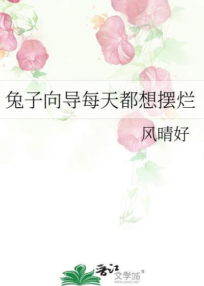 兔子向导摆烂哪里看