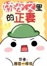 娇宠文里的正妻晋江文学城