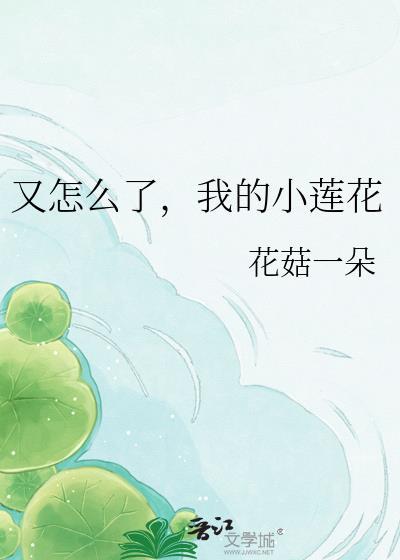 又怎么了我的小莲花免费阅读