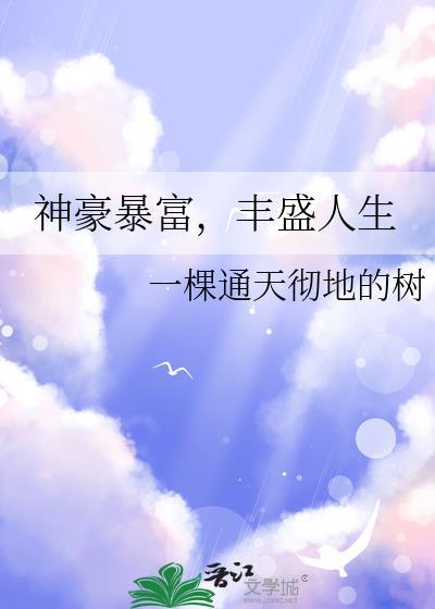丰盛人生TXT