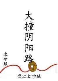 大撞阴阳路TXT