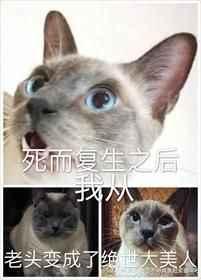 死而复生之后我从老头变成了绝世大美人免费阅读