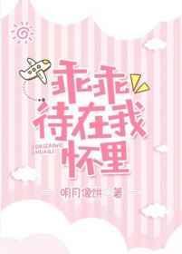 乖乖待在我怀里全文