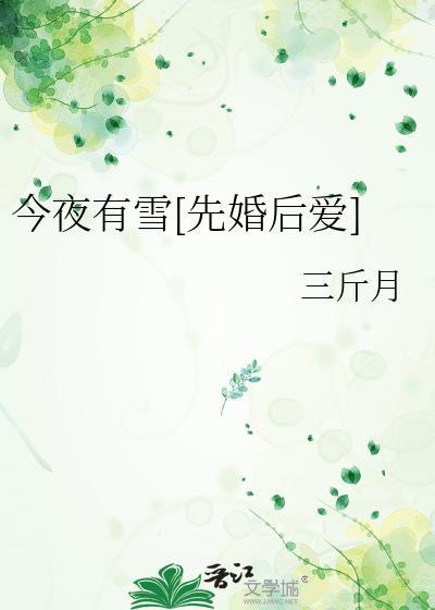 今夜有雪讲什么