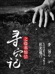 寻墓盗术