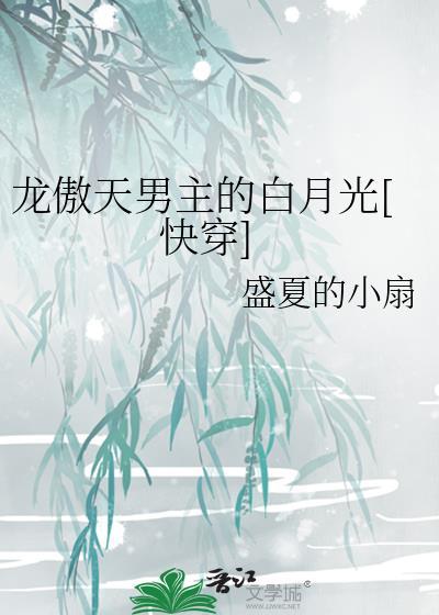 龙傲天男主是个omega剧透