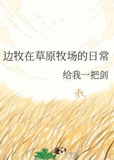 边牧在草原牧场的日常行为