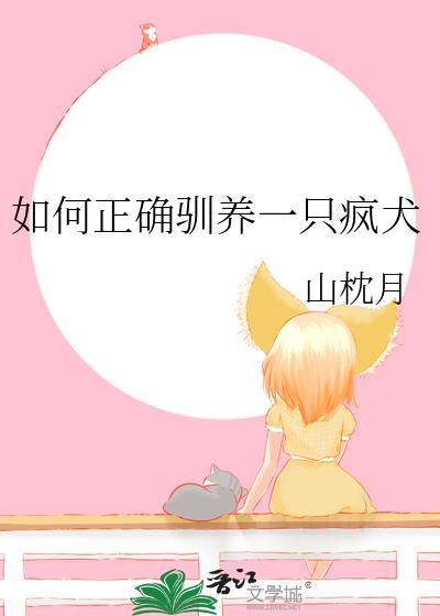 如何正确驯养一只疯犬呢
