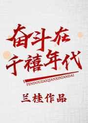 奋斗在80年代银河祁
