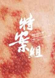特殊案件调查组V全文阅读