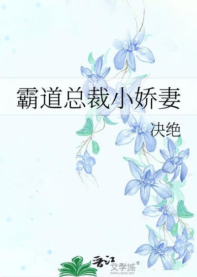 霸道总裁小娇妻电视剧
