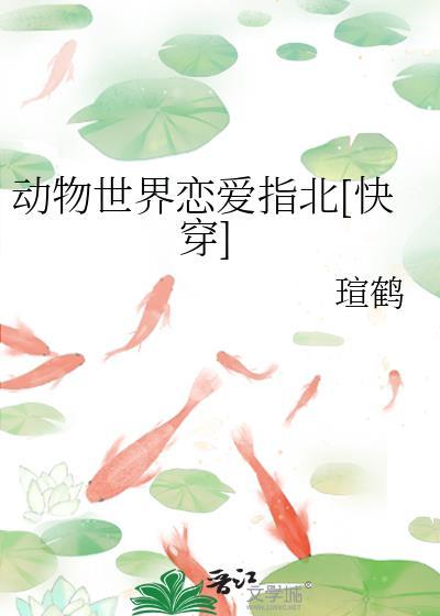 动物世界爱情故事
